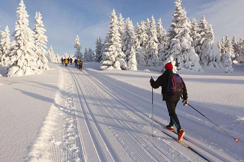 Ferienwohnung Graubunden Bonaduz Zewnętrze zdjęcie