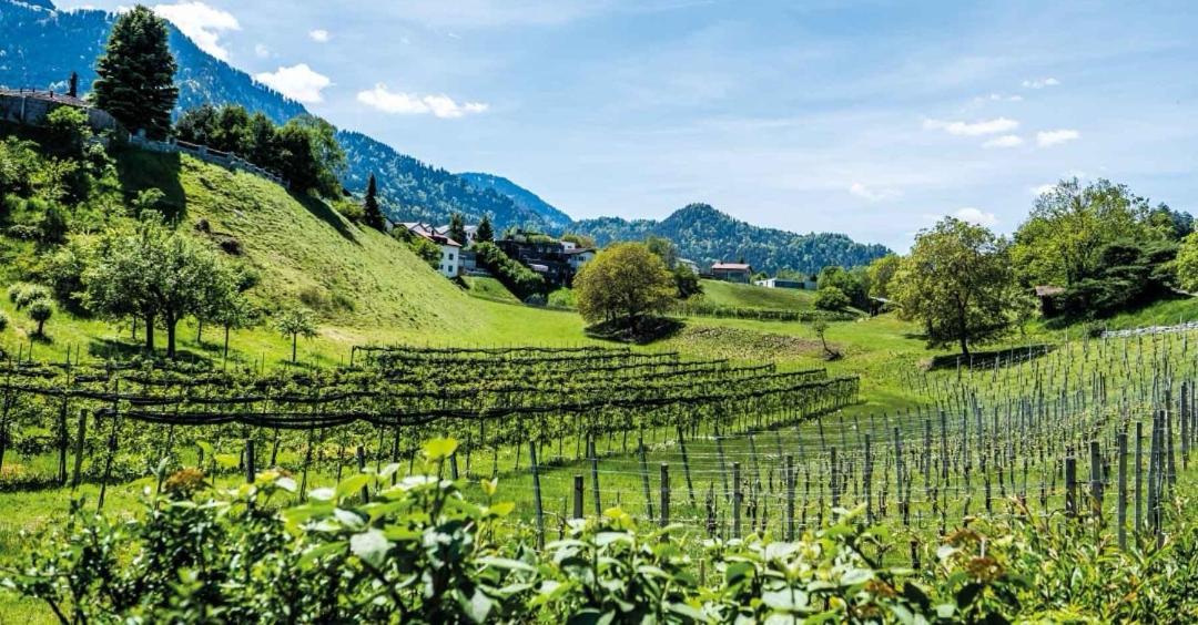 Ferienwohnung Graubunden Bonaduz Zewnętrze zdjęcie